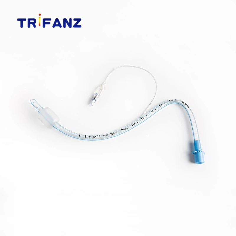 Airway Intubation Airway Intubation