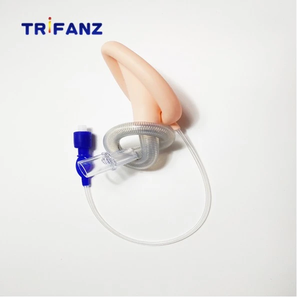 Flexible laryngeal mask airway1