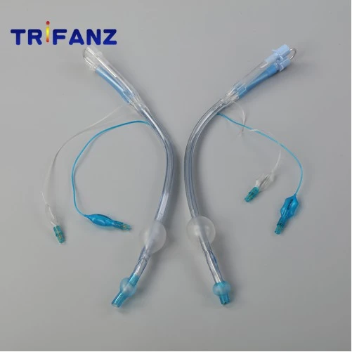 endobronchial catheter1 endobronchial catheter1