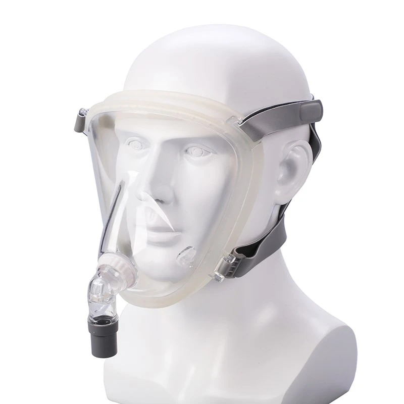 NIV Mask