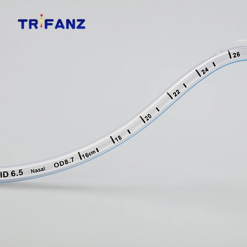 North Pole RAE Tube