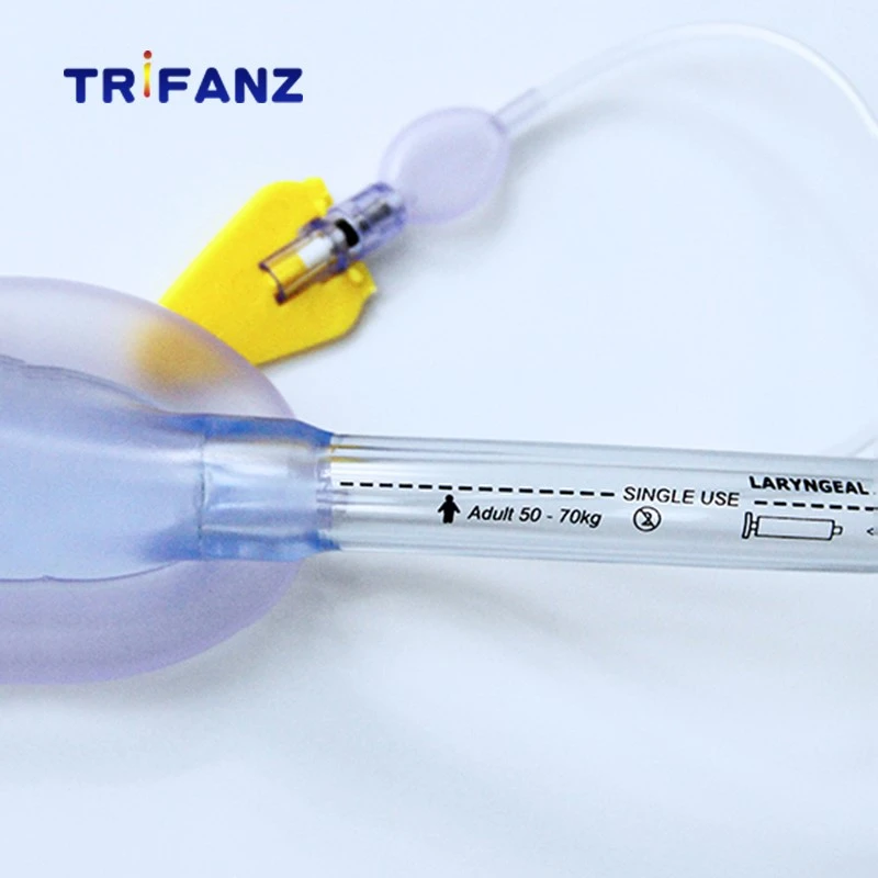 Laryngeal Airway